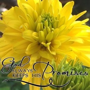 Meet your Posher, Aileen